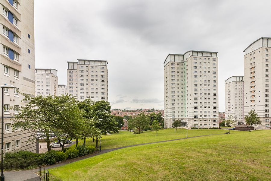 We are building a brand-new Customer Committee